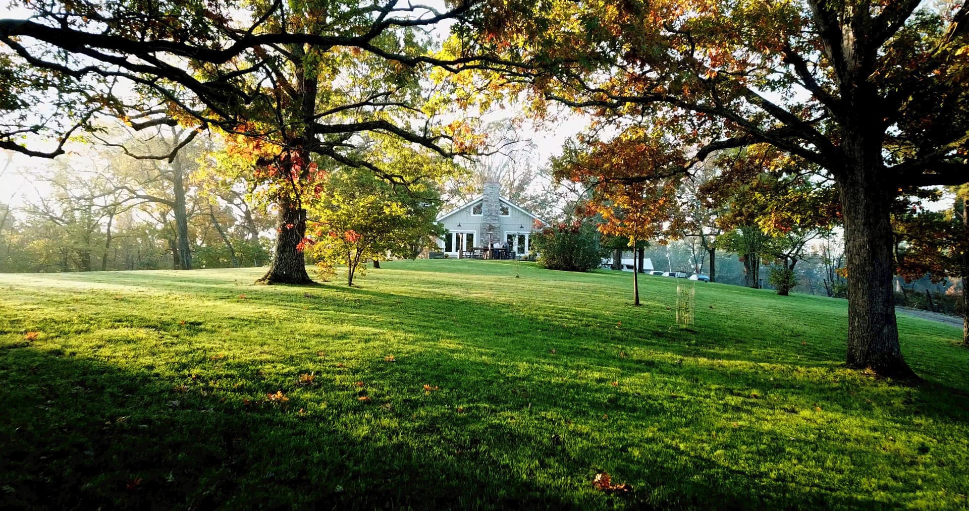 Farmhouse surrounded by green trees in the morning